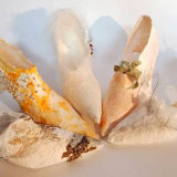 Intrigerende papierkunst door Kerry Toomey, inheemse kunstenaar